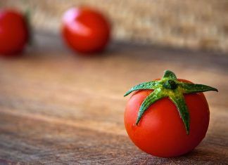 Tomátes: un desafío para la genética Genética del tomate