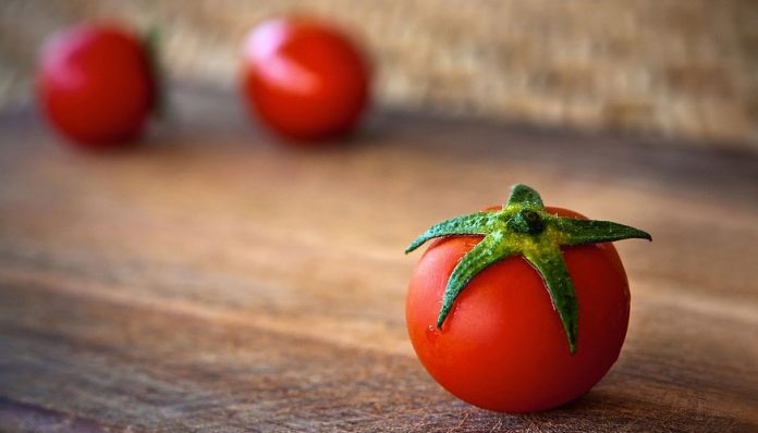 Genética del tomate
