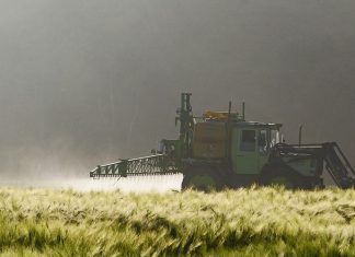 ¿Cuáles son los pesticidas que afectan a las abejas? Pesticidas que afectan a las abejas