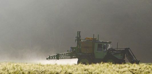 Pesticidas que afectan a las abejas