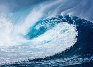 sismo en nueva zelanda