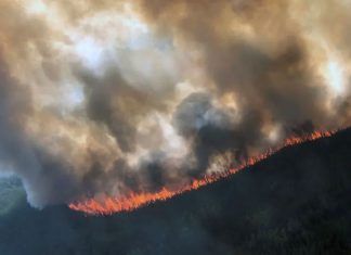 Cambio climático provoca más de 300 incendios en Alaska cambio climático efectos en Alaska