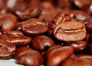 enfermedades del café