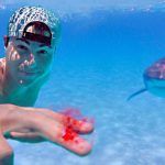 los tiburones huelen la sangre