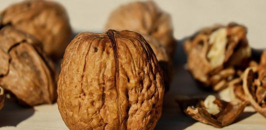 nueces beneficios