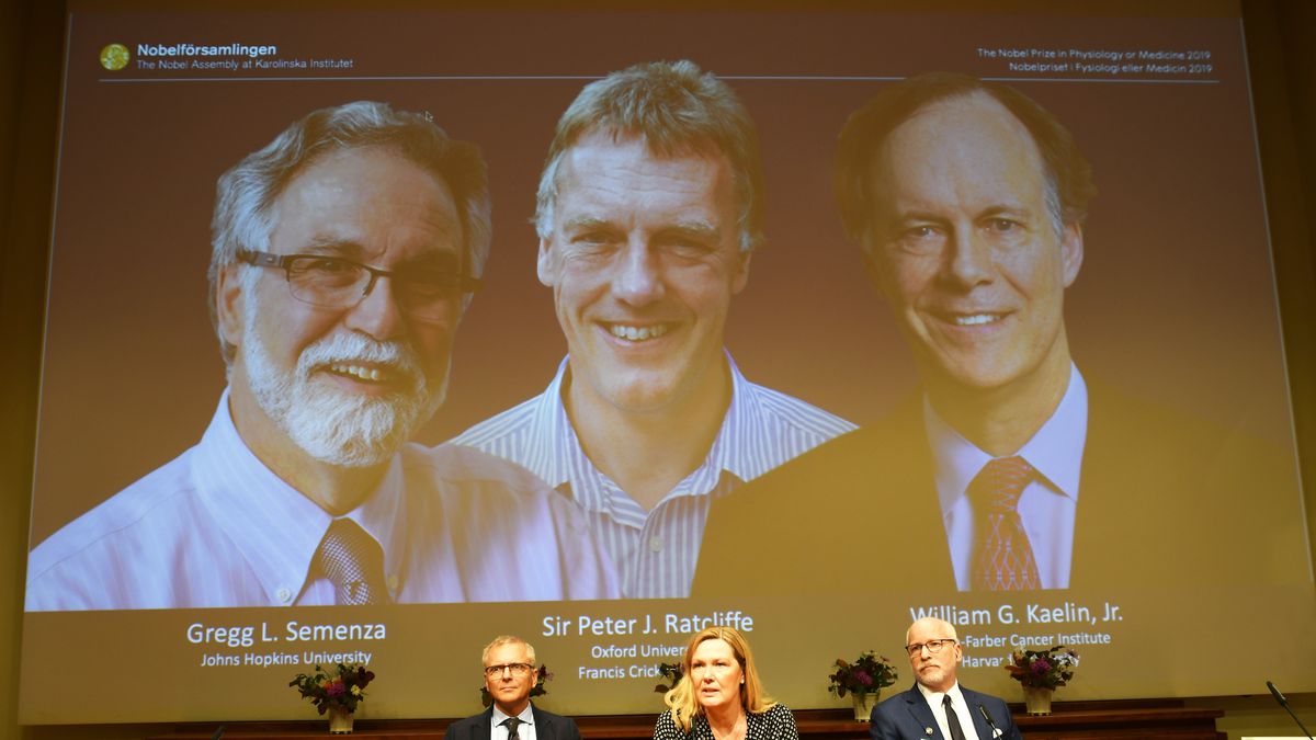 Premio Nobel de Medicina 2019