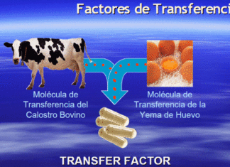 factores de transferencia