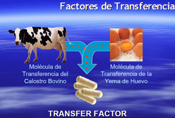factores de transferencia