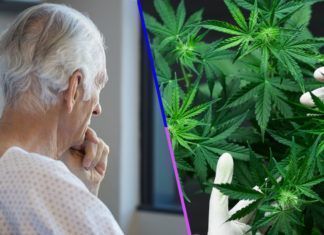 Alzheimer y THC