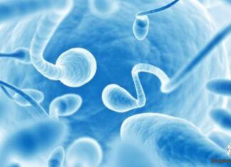 bóveda del fin del mundo