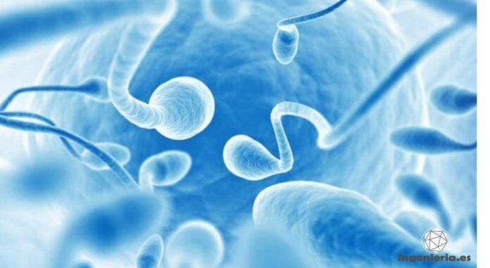 bóveda del fin del mundo bóveda del fin del mundo