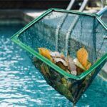 mantener la piscina limpia en otoño