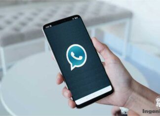cómo funciona WhatsApp Plus