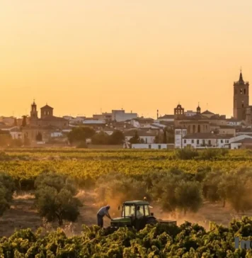 Presencia del CBD en Tomelloso: Nueva perspectiva social Cómo se integra el CBD en la vida social de Tomelloso