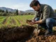 Cómo medir la salud del suelo agrícola con la ley europea