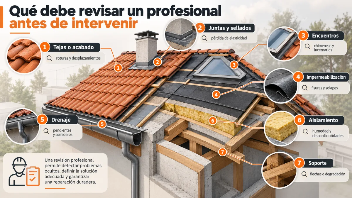 qué debe revisar un profesional antes de intervenir infografía